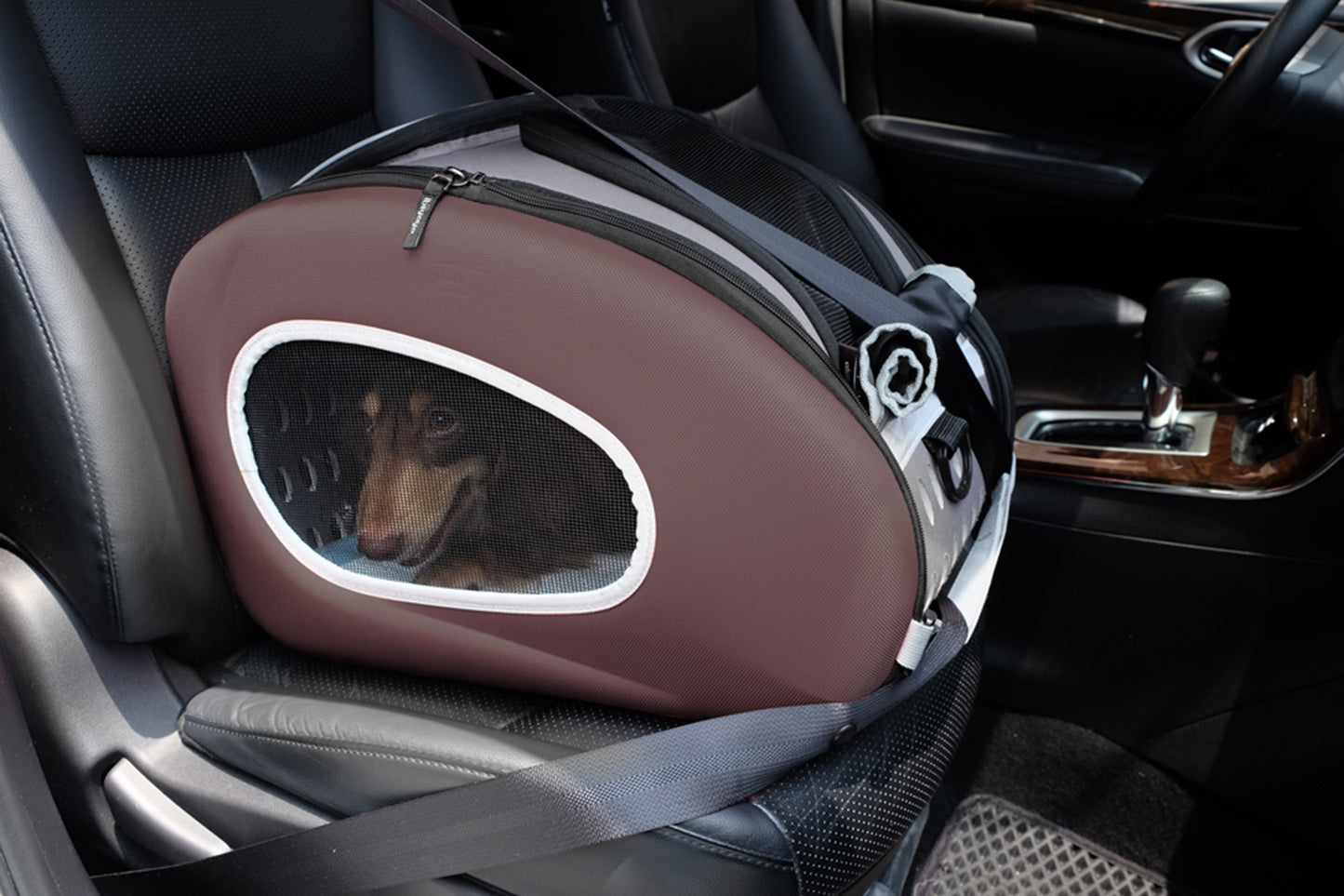 Ibiyaya 5-in-1 Combo EVA Pet Carrier/Pram/Stroller - Chocolate