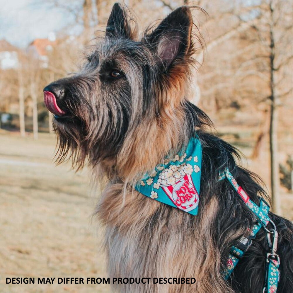 Style your pet with the Max & Molly Pet Bandana! Large